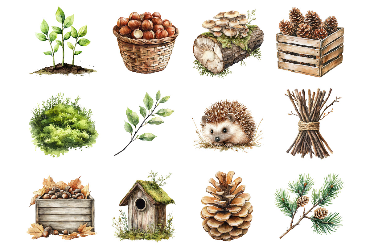 Spring Woodland Clipart, an Illustration by Design Market (Photo 3 of 5)