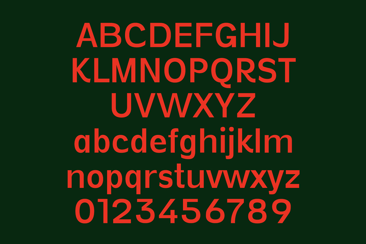 Vynce Sans Picturesque Family, a Sans Serif Font by Lettertype Studio (Photo 9 of 15)