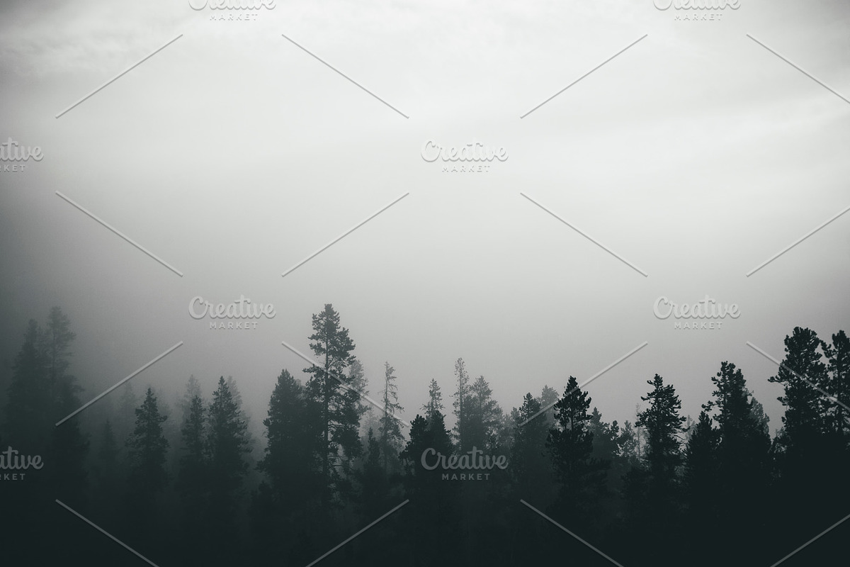 Photo Pack: Blue Forest Fog, a Nature Photo by Gradivis (Photo 2 of 4)