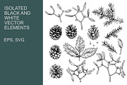 Winter botanical patterns, a Seasonal Illustration by Robusta (Thumbnail 2 of 8)