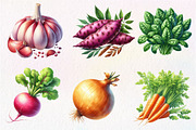 Watercolor Farm Vegetables Clipart, an Illustration by Dream Creation (Thumbnail 4 of 7)