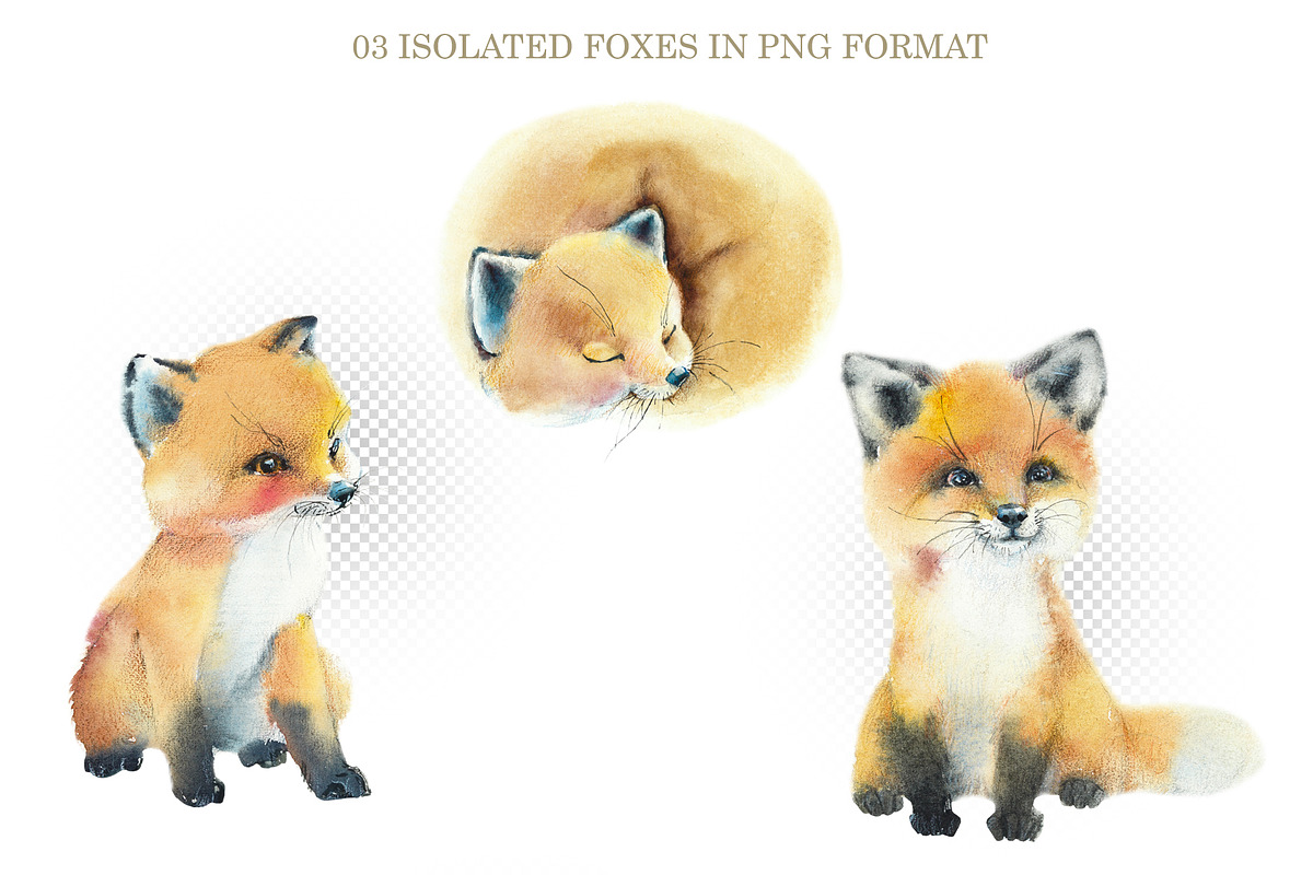 Watercolor Red Foxes, an Animal Illustration by Budogoshch (Photo 2 of 5)
