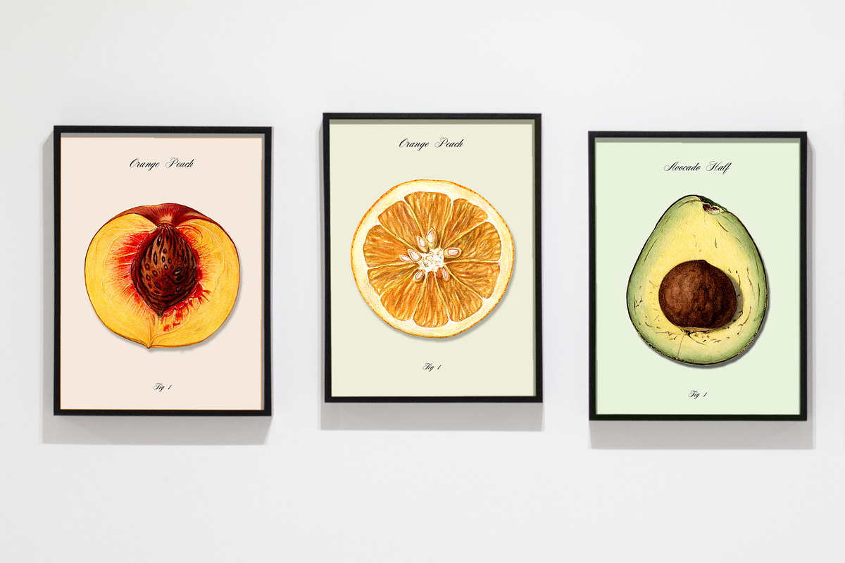 Vintage Fruit Illustrations, a Food Illustration by Catty Studio (Photo 8 of 10)