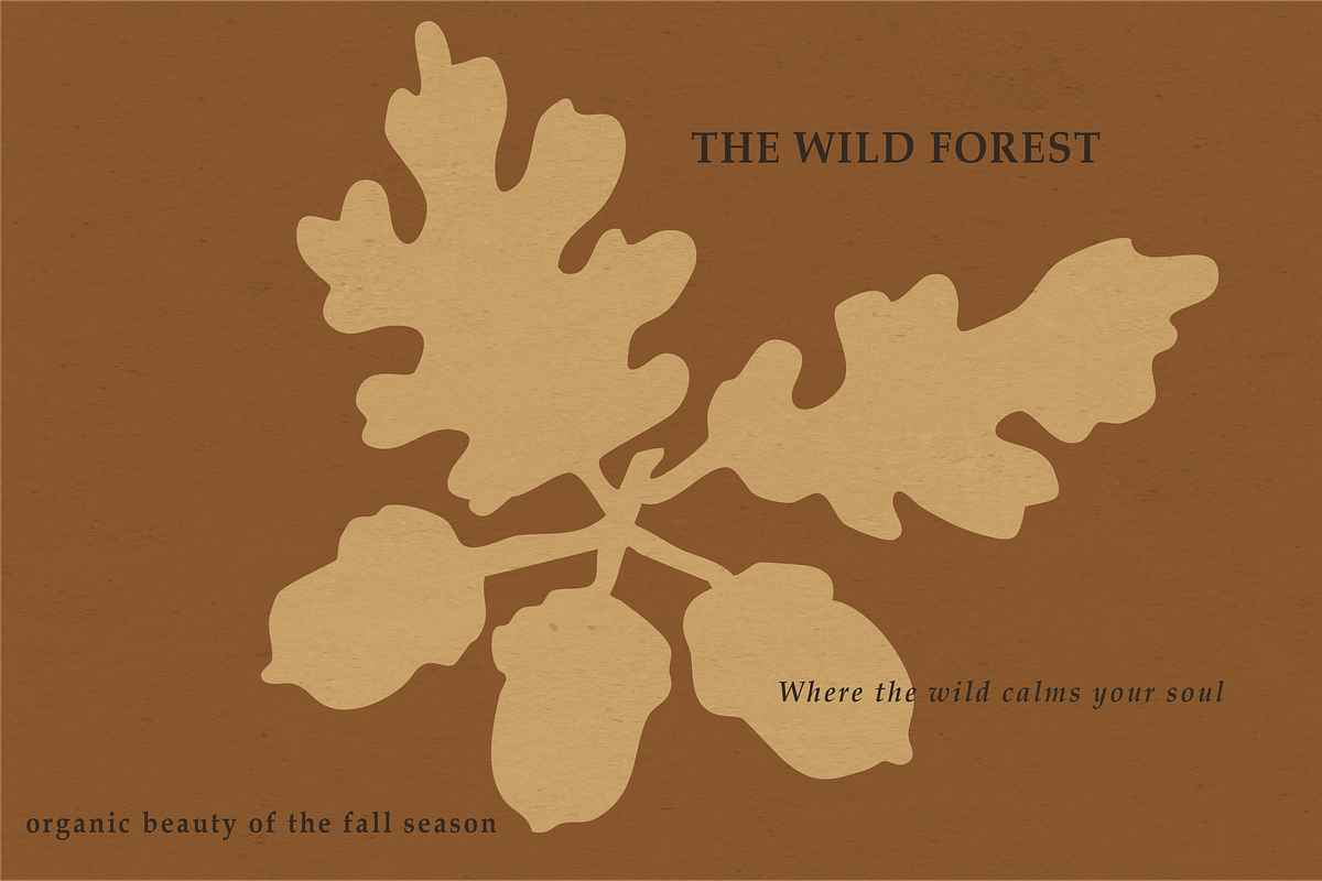 Autumn Botanicals Clipart, a Seasonal Illustration by RaDavCrafts (Photo 10 of 12)