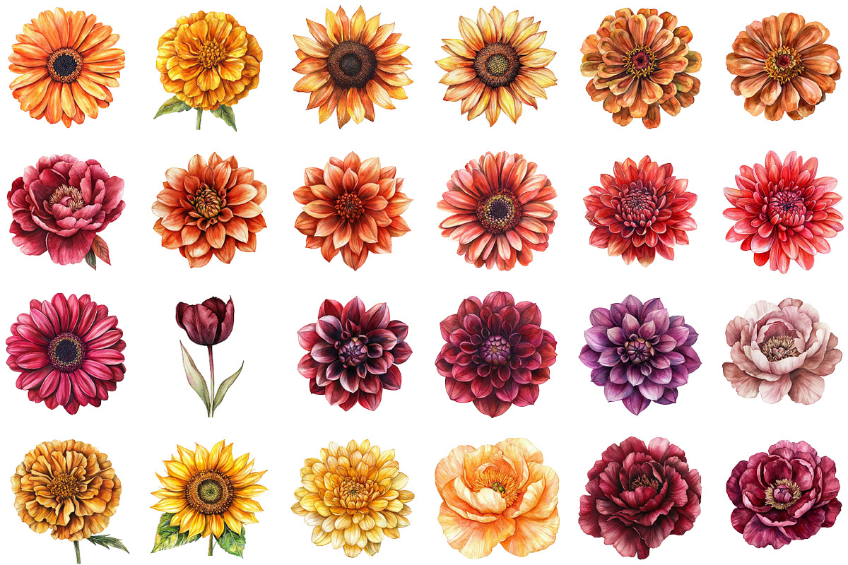 Watercolor Autumn Flowers Clipart, an Illustration by Sublimation Artist (Photo 2 of 6)