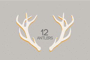 12 Deer Antler