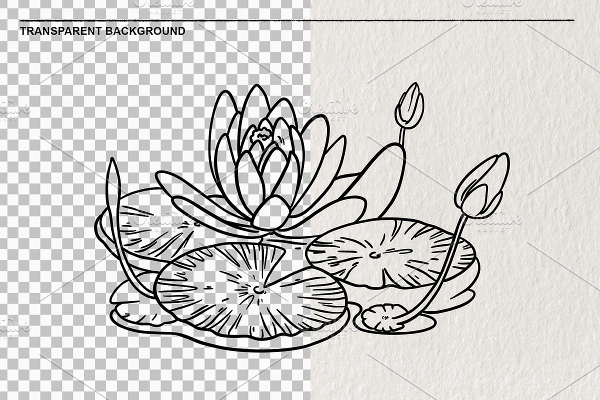 Set of water lilies and flowers PNG, a Decorative Illustration by LOKSKIH (Photo 2 of 10)