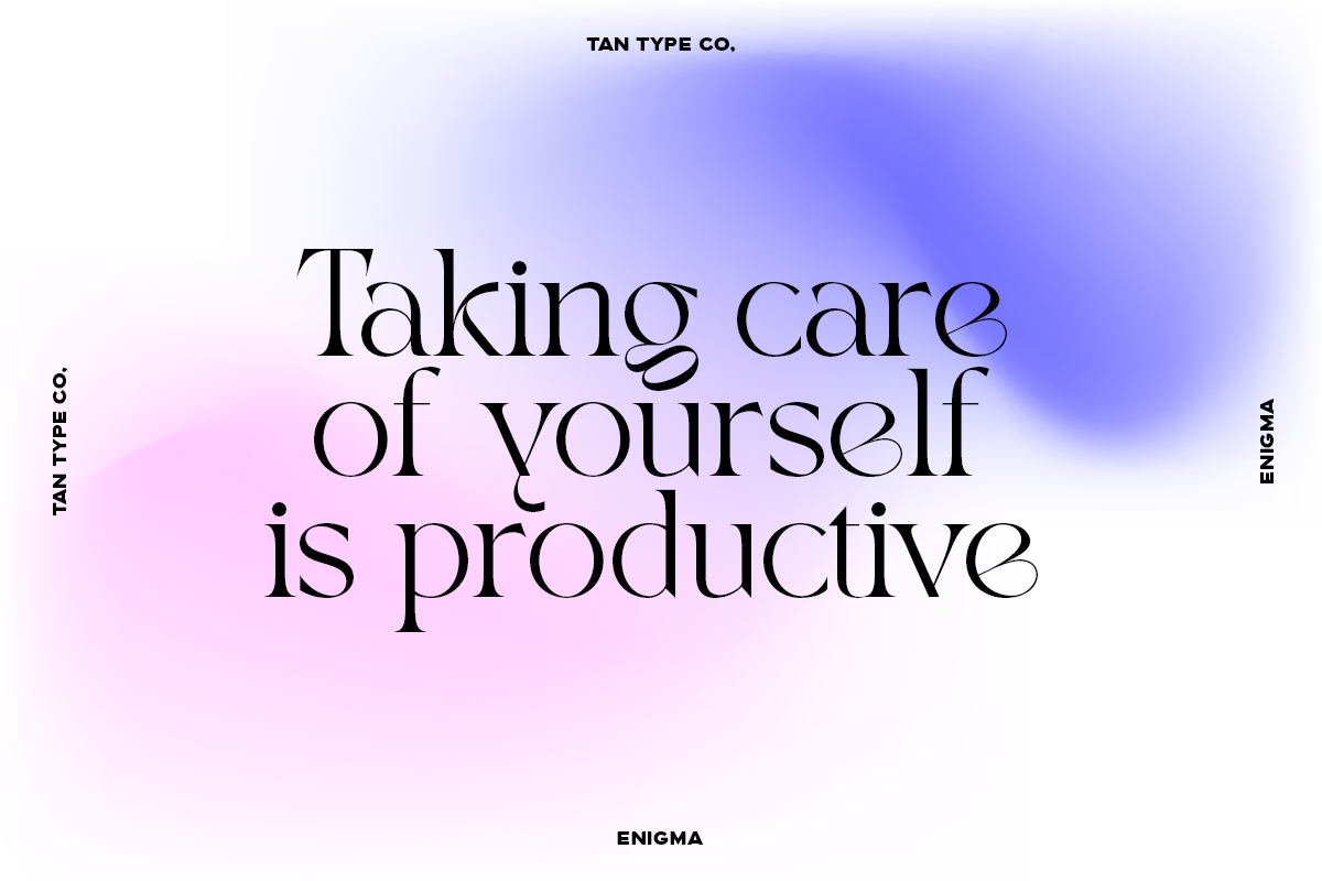 TAN - ENIGMA, a Serif Font by TanType (Photo 12 of 16)