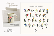Sommerlich Expanded Collection, an Illustration by KLUGE+CO (Thumbnail 3 of 11)
