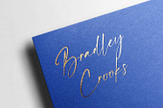 Franky Rain - Signature Script Font, a Script Font by StringLabs (Thumbnail 7 of 9)