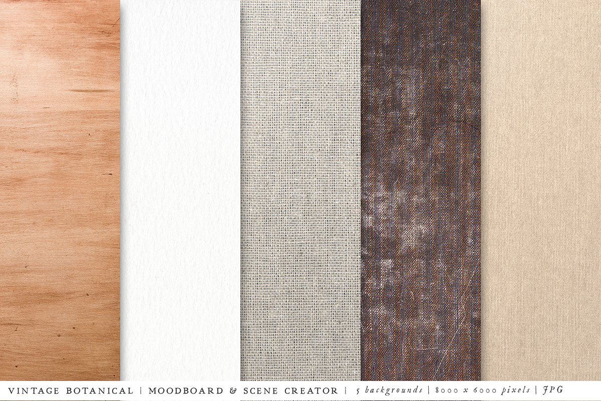 Botanical Moodboard Scene Creator, an Advertising Mockup by Eclectic Anthology (Photo 13 of 14)