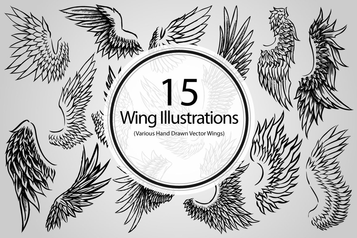 15 Wing Illustrations (Vector), an Animal Illustration by BIOWORKZ (Photo 1 of 5)
