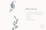Eukalyptus Branch Watercolor, an Illustration by liebe.erika - Papeterie (Thumbnail 3 of 3)