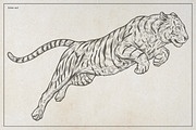 Vintage Tiger Engraving Art, an Animal Illustration by Kusumaillustration (Thumbnail 3 of 6)