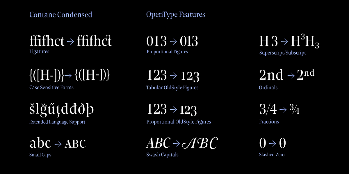 Contane Condensed, a Serif Font by Hoftype (Photo 12 of 14)