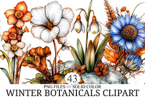 Winter Botanicals Watercolor Clipart, an Illustration by designcity5