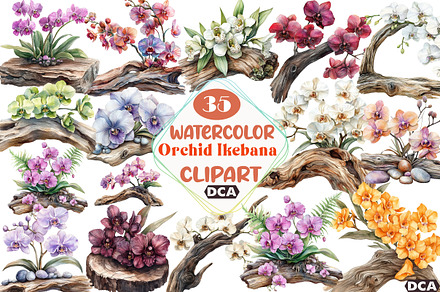 Exclusive Orchid Ikebana on Driftwoo, an Illustration by DreamCafeArt