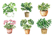 Watercolor Houseplant Clipart, an Illustration by CreationArt (Thumbnail 4 of 5)