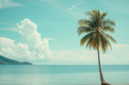 Tropical island with a single palm t, a Photo by Iftikhar Alam