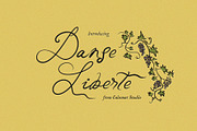 Danse Liberte Handwritten Font, a Script Font by Calamar Studio (Thumbnail 1 of 17)