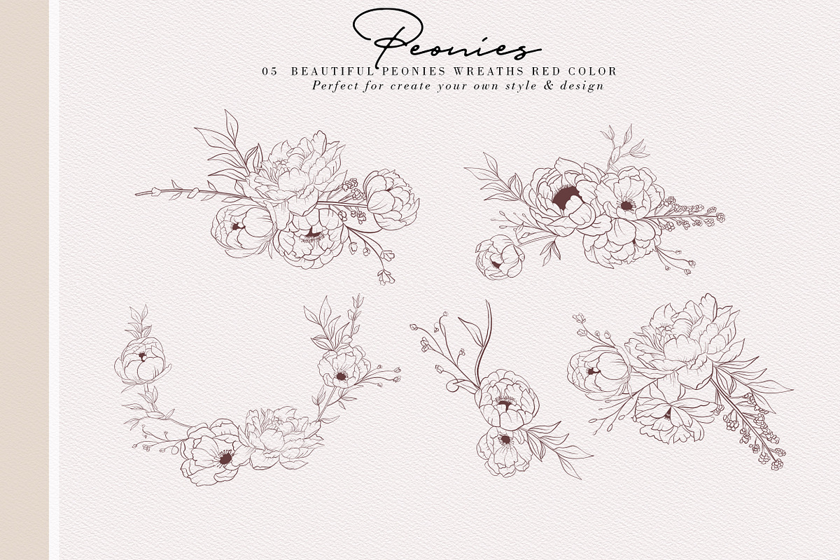 Peonies Hand Draw, an Illustration by Luiz da Rolt Grathwohl (Photo 5 of 8)