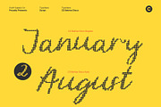 CS Belrise Disco, a Script Font by Craft Supply Co. (Thumbnail 4 of 8)