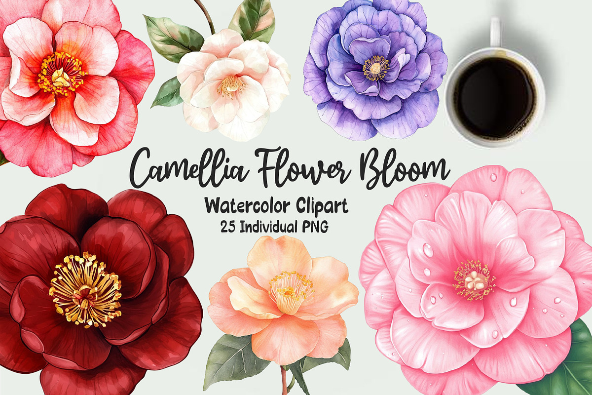 Camellia Flower Bloom Clipart, an Illustration by OK Design (Photo 1 of 5)