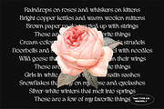 TAN - WAVERLY, a Serif Font by TanType (Thumbnail 18 of 22)