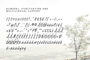 Safilla - Handwritten Font, a Script Font by overlaytemplates (Thumbnail 5 of 5)