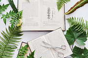 Garden Finds Flatlay Photo Bundle, a Photo by The Floral Healer (Thumbnail 5 of 8)