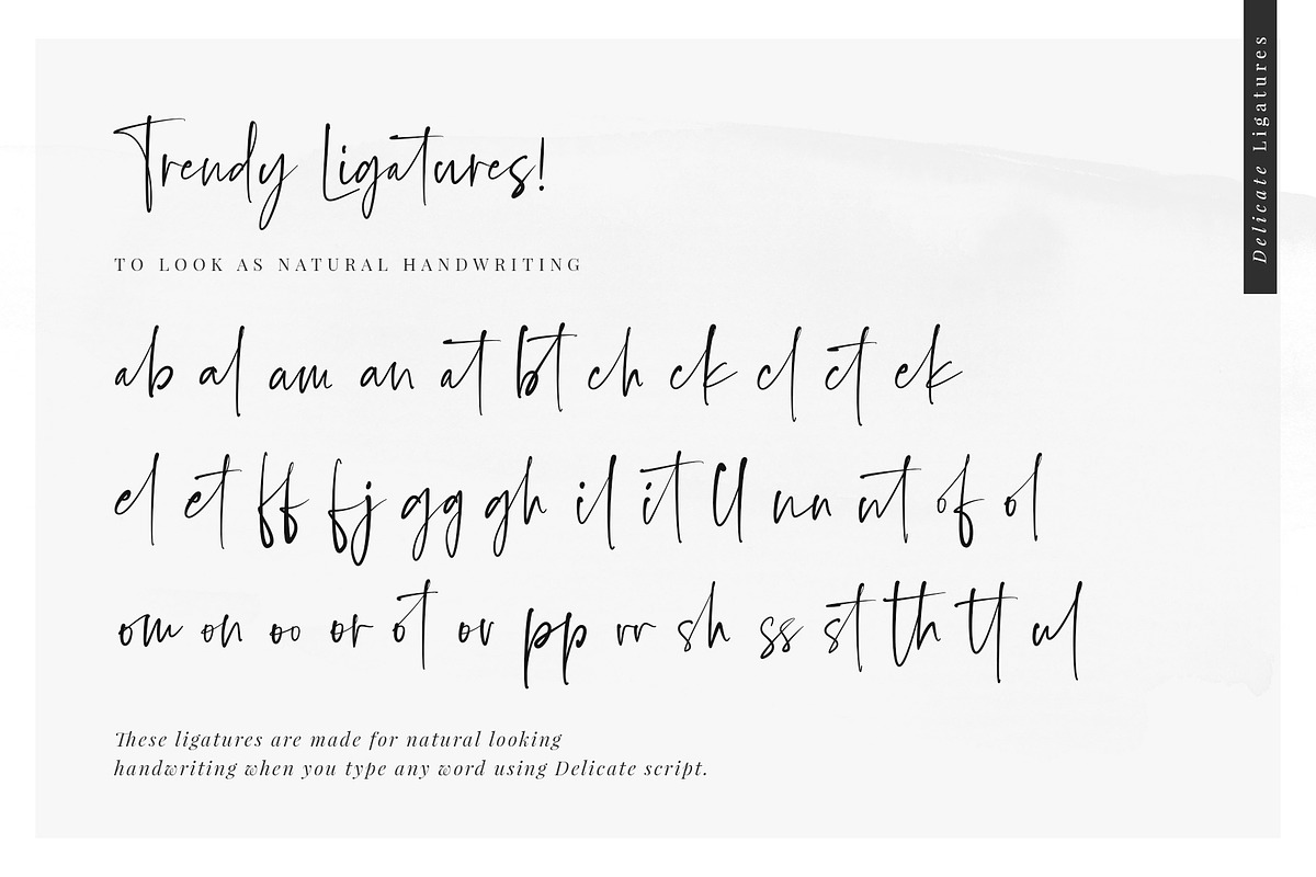 Delicate Script Font, a Script Font by SNIPESCIENTIST