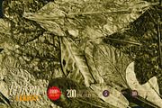 Broken Leaves 200 Transparent Object, an Object Graphic by nicholasasmita (Thumbnail 14 of 15)