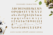 Magnies - Minimal Serif, a Sans Serif Font by Arterfak Project (Thumbnail 7 of 10)