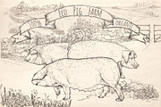 Eco pig farm, an Object Graphic by ArtOwl (Thumbnail 2 of 7)