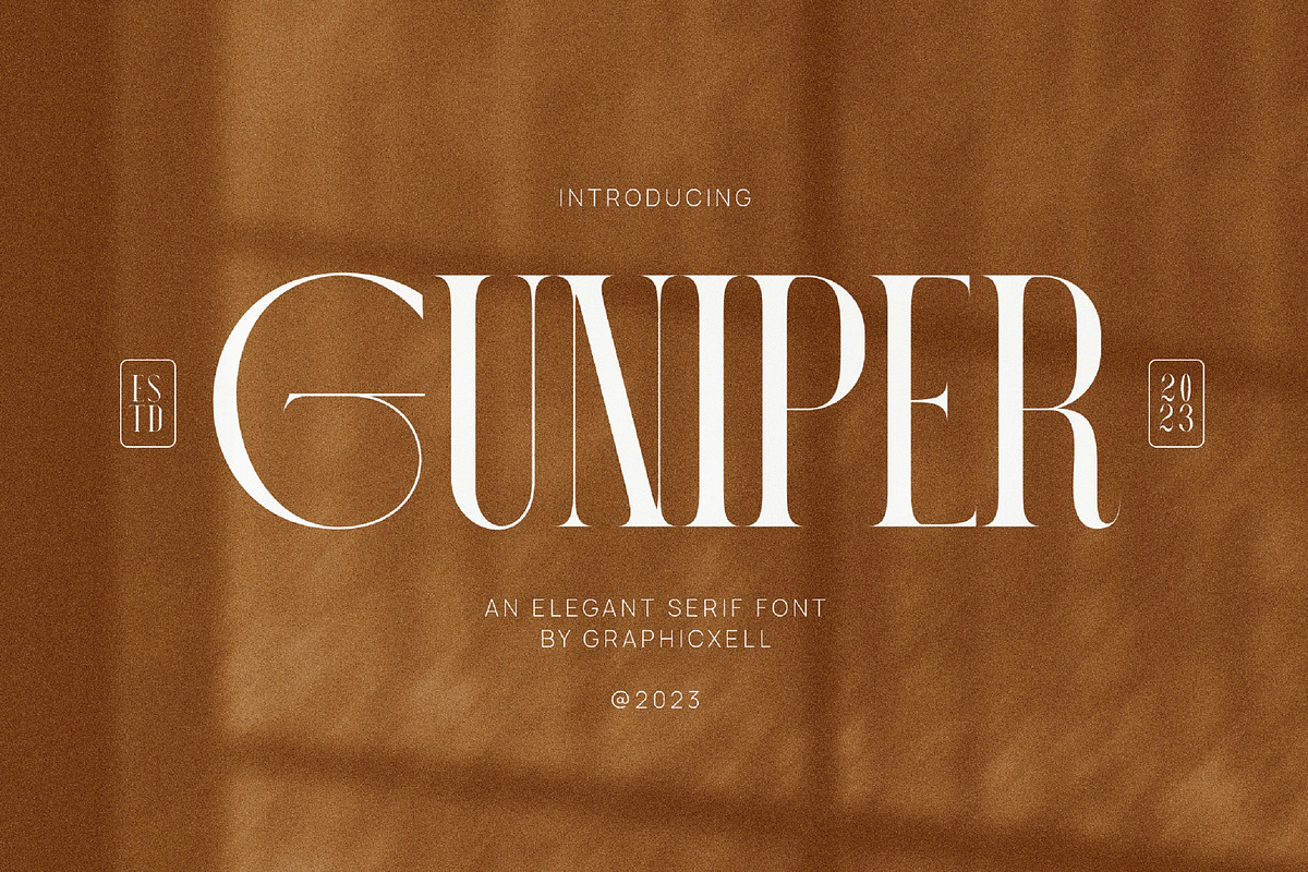 Guniper Elegant Serif Font Typeface, a Serif Font by Graphicxell (Photo 1 of 10)