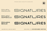 Rinjani Sans - Wide Stretch Typeface, a Sans Serif Font by CCS Type (Thumbnail 16 of 24)