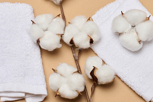 A folded soft white terry towel and natural cotton bolls on a wa, a Background Photo by ndanko