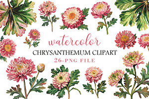 Watercolor chrysanthemum clipart, an Illustration by Libby Wishes