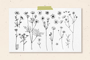 Flowers Buttercup. Sketch flowers, an Illustration by irina.vaneeva (Thumbnail 3 of 6)