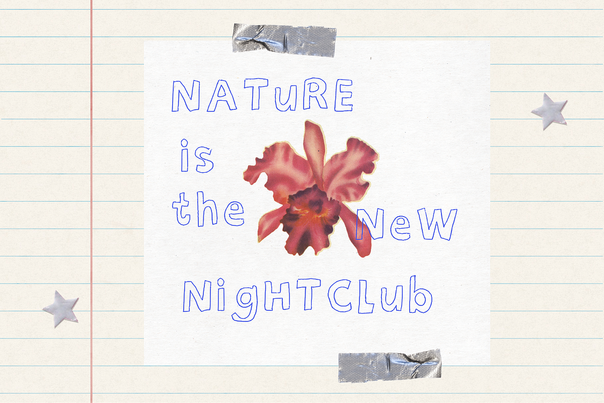 Nostalgia Aesthetic Handwritten Font, a Handwritten Font by Studio C (Photo 3 of 6)
