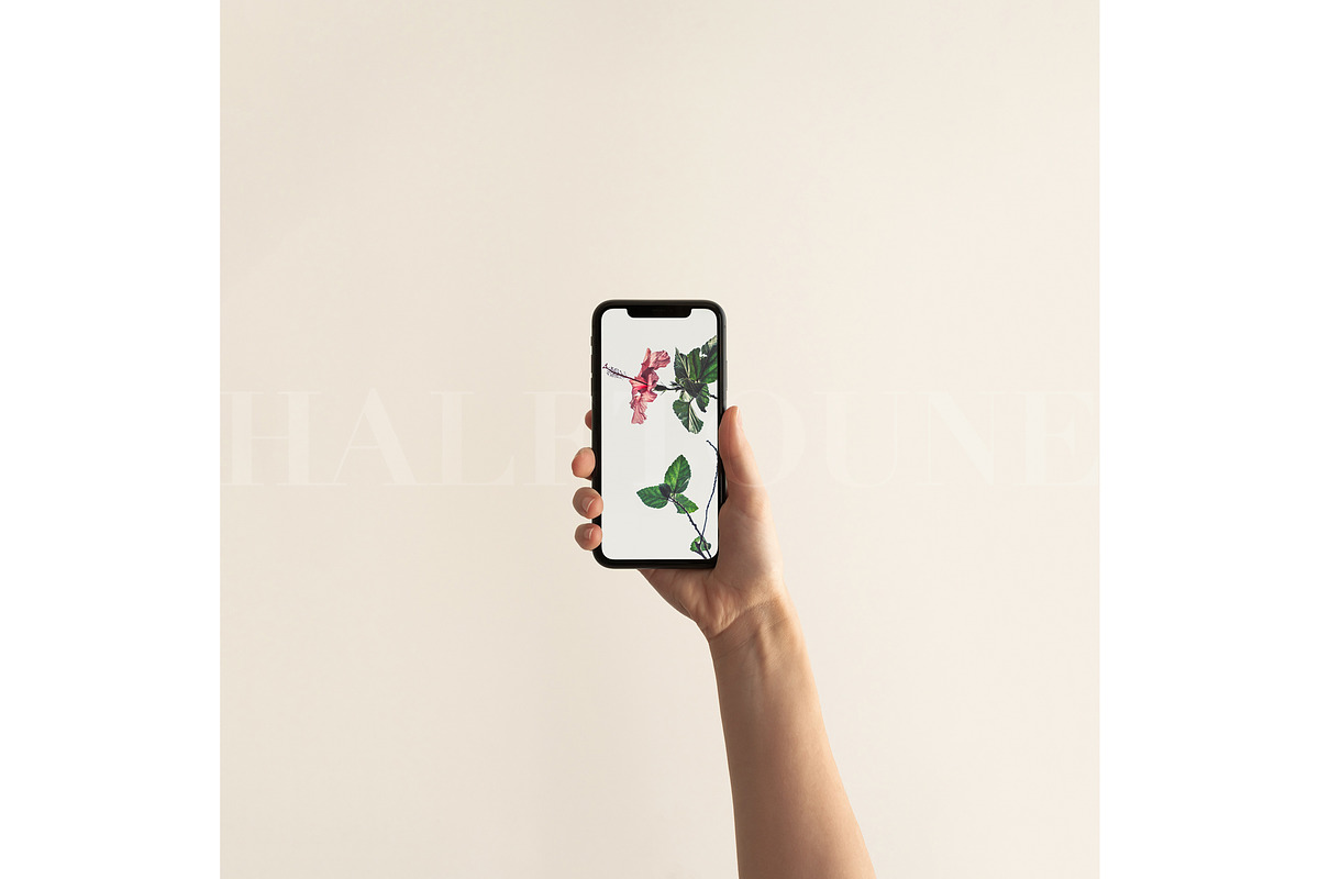 Modern Minimalist iPhone 11 Mockup, an iPhone Mockup by HALFTOUNE (Photo 3 of 6)