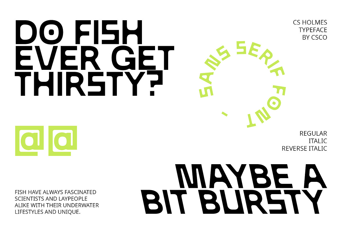 CS Holmes – Sans Serif Font, a Sans Serif Font by Craft Supply Co. (Photo 3 of 8)