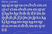 Potential - Luxury Serif Font, a Serif Font by 177Studio (Thumbnail 8 of 8)