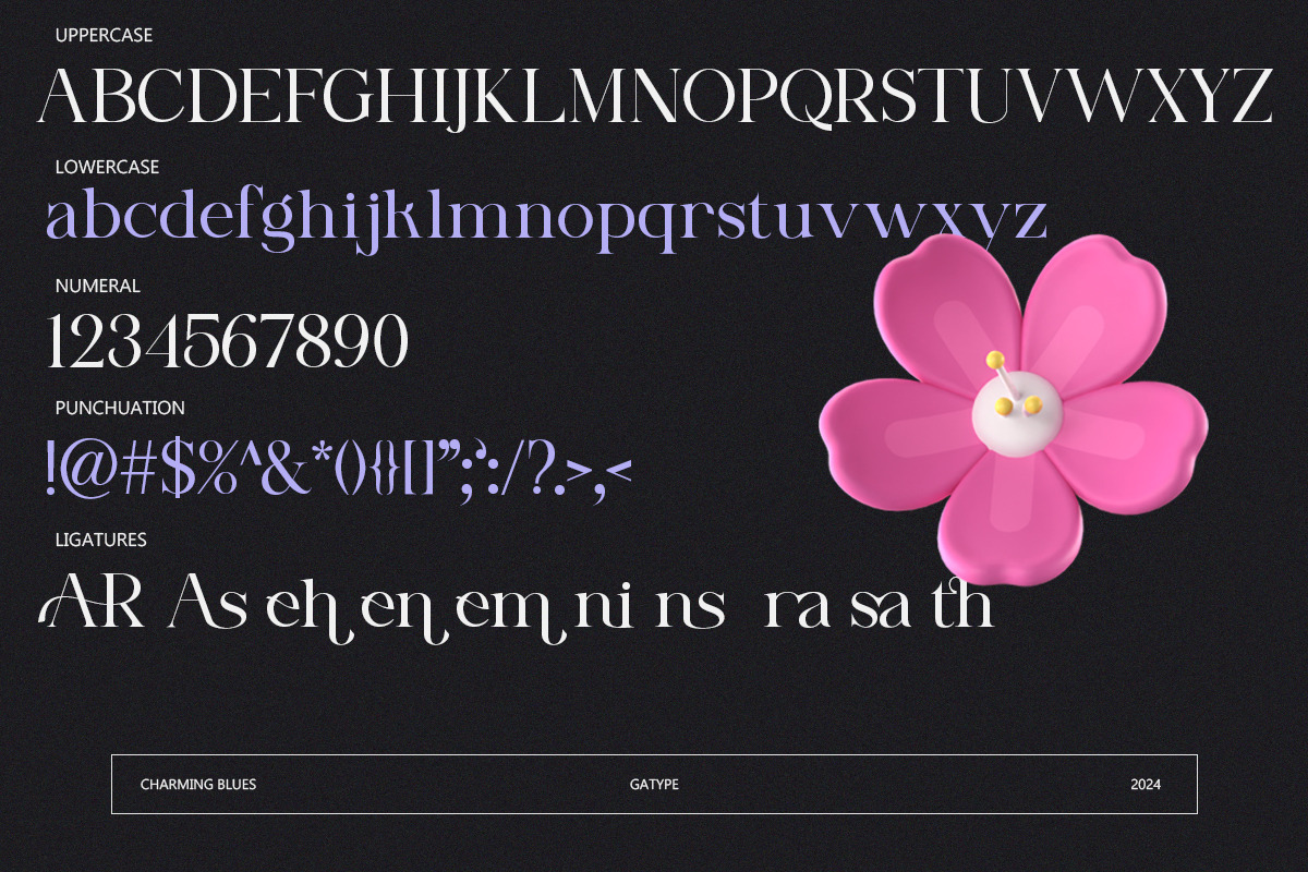 Charming Blues, a Serif Font by Gatype (Photo 10 of 11)
