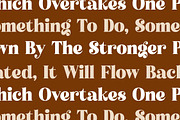 Atlantis Famingo Retro Serif Font, a Serif Font by Letterena Studios (Thumbnail 9 of 15)