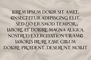 Malerose, a Serif Font by zamjumps (Thumbnail 5 of 12)