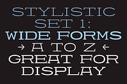 403 Felgrit, a Slab Serif Font by 403 Type Foundry (Thumbnail 12 of 15)