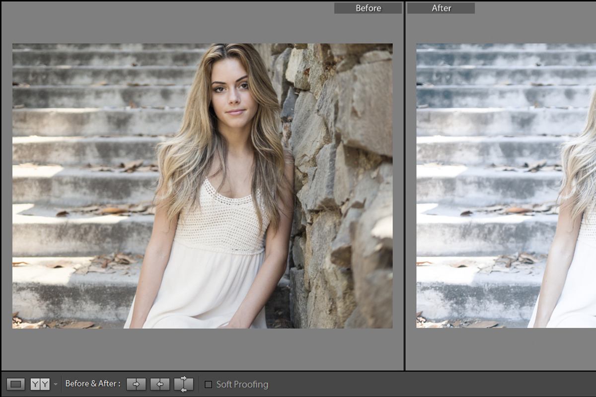 Cinematic Lightroom Preset By Cmsvec, a Plug-in Add-On by CMSvec (Photo 10 of 10)