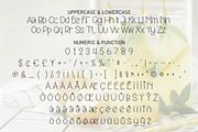 Lemonade Smoothies | Script Font, a Script Font by Scratchones (Thumbnail 7 of 8)