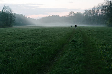 Fog or mist on the field